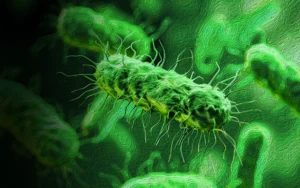 Microorganisms for Healthier Plants