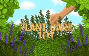 Herb Gardening 101: A Beginner’s Guide to Growing Flavorful Herbs