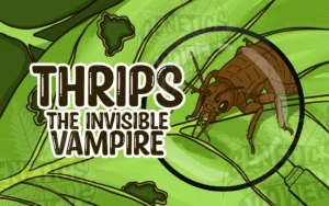 THRIPS: The Invisible Vampire Draining the Life from Your Plants