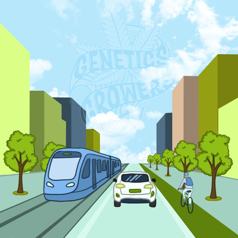 Clean urban street illustration showing a modern tram, an electric vehicle and a cyclist sharing the road surrounded by trees and a bright blue sky representing eco-friendly transportation options