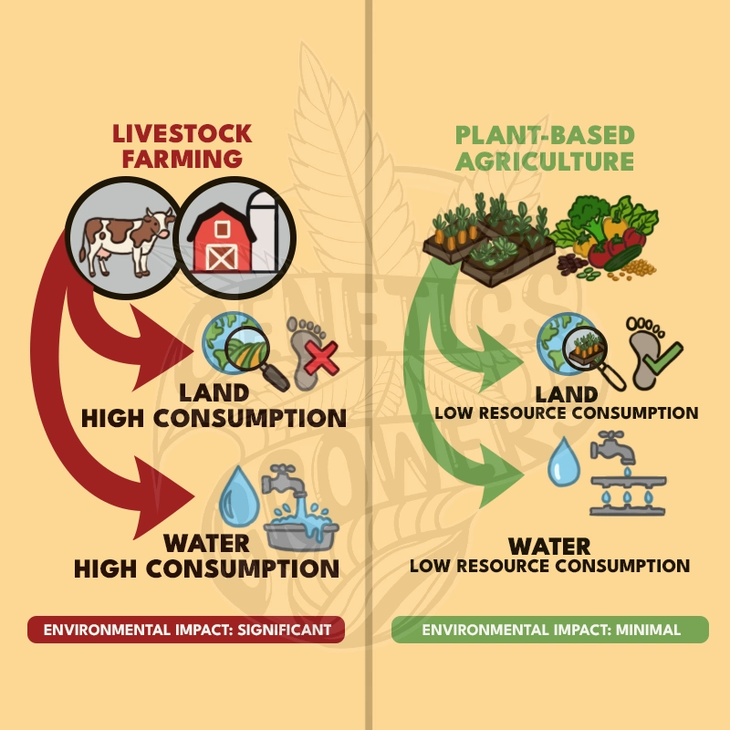 Infographic comparing livestock farming versus plant-based agriculture showing high land and water consumption of animal farming versus low resource consumption of plant-based crops