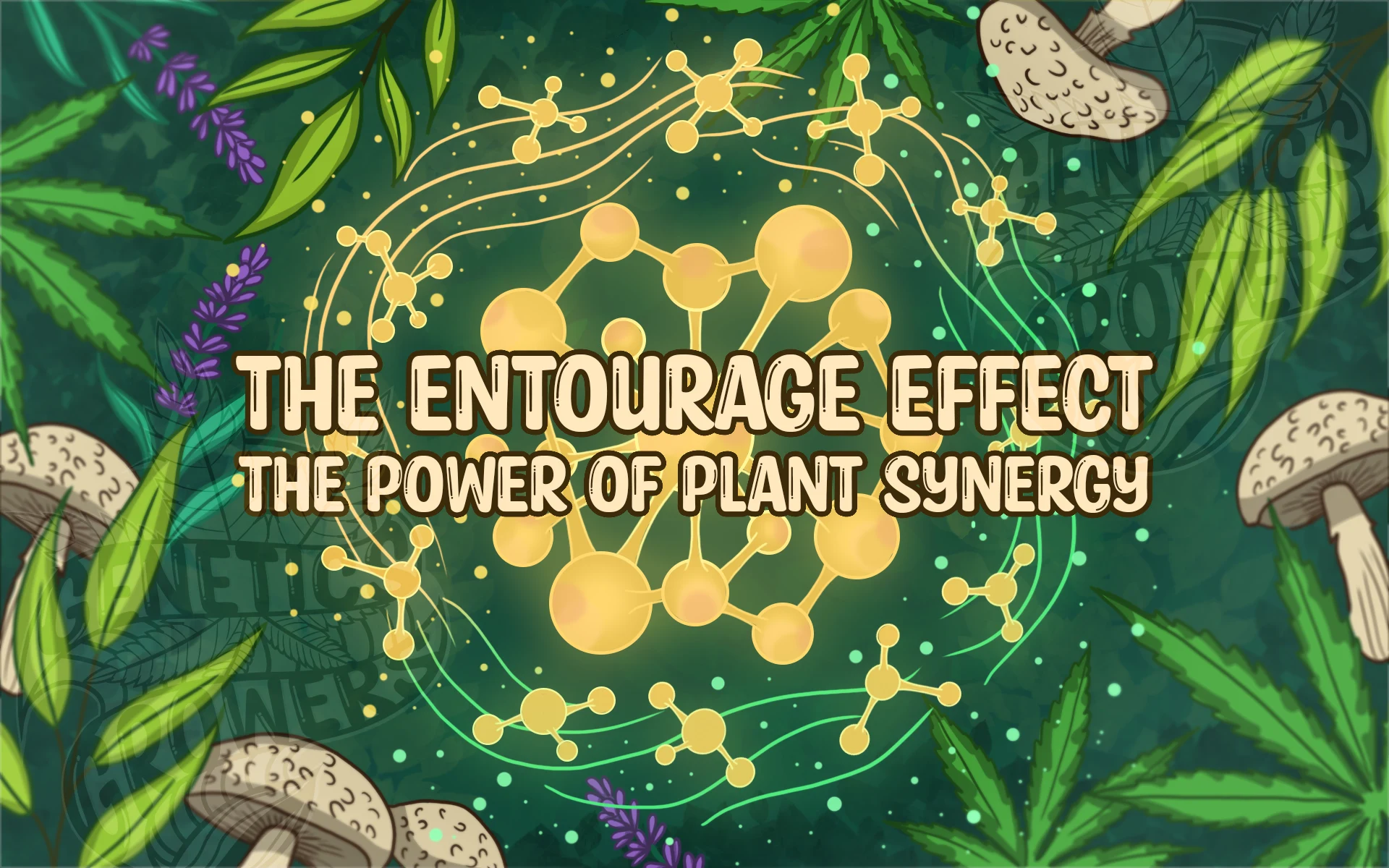 Illustration of a glowing golden central molecule surrounded by connected compounds, over a background of cannabis, lavender, eucalyptus, and mushroom leaves, representing the entourage effect and plant synergy