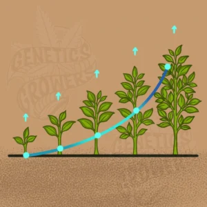 Data visualization illustration showing a seedling progressively growing into a tall mature plant across five stages, connected by a rising data line with upward arrows representing consistent, predictable growth.
