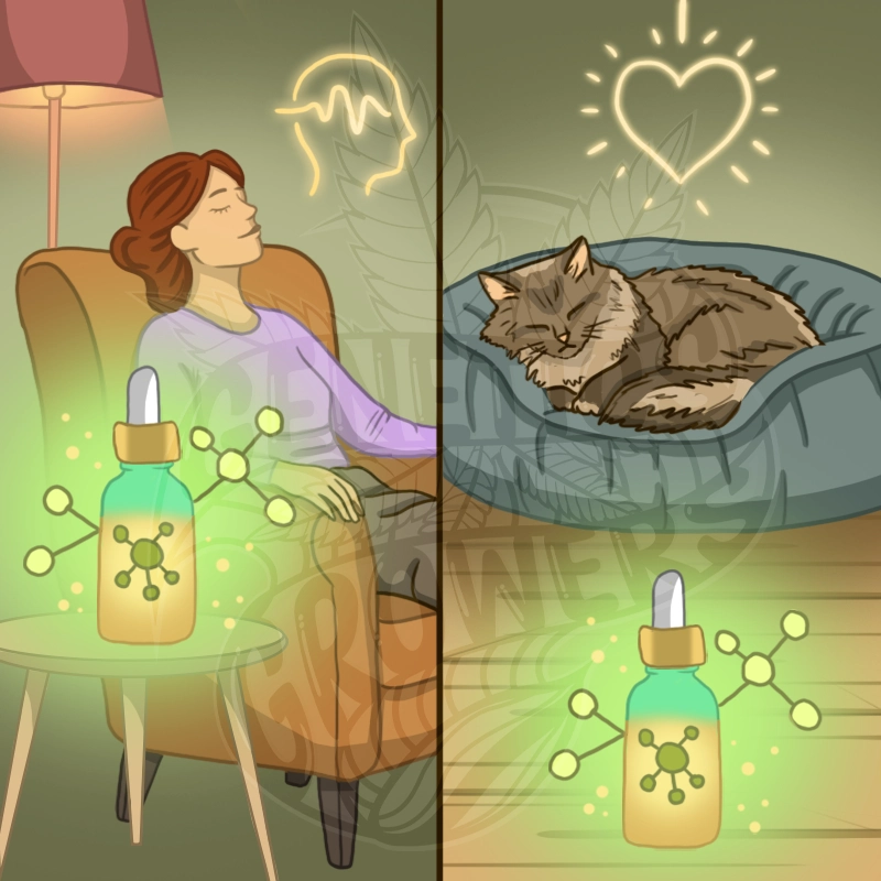 Split illustration of a relaxed woman in a chair and a sleeping cat in a bed, each beside a glowing dropper bottle with molecular icons, symbolizing wellness benefits of full-spectrum products for humans and pets