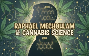 Silhouette illustration of a scientist with glowing THC and CBD molecular structures inside the head, surrounded by cannabis leaves, representing the legacy of Raphael Mechoulam in cannabis research.