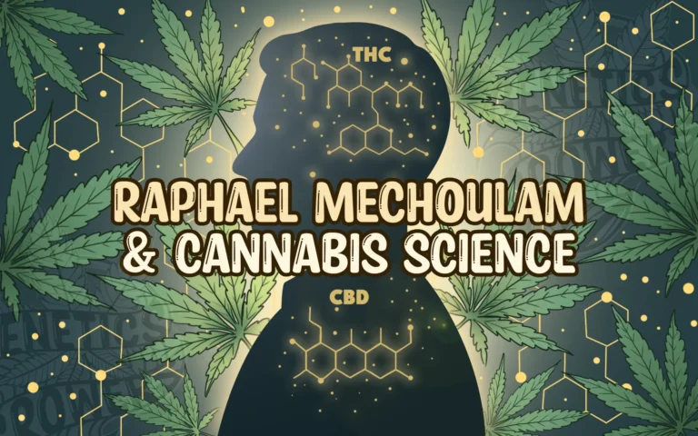 Silhouette illustration of a scientist with glowing THC and CBD molecular structures inside the head, surrounded by cannabis leaves, representing the legacy of Raphael Mechoulam in cannabis research.