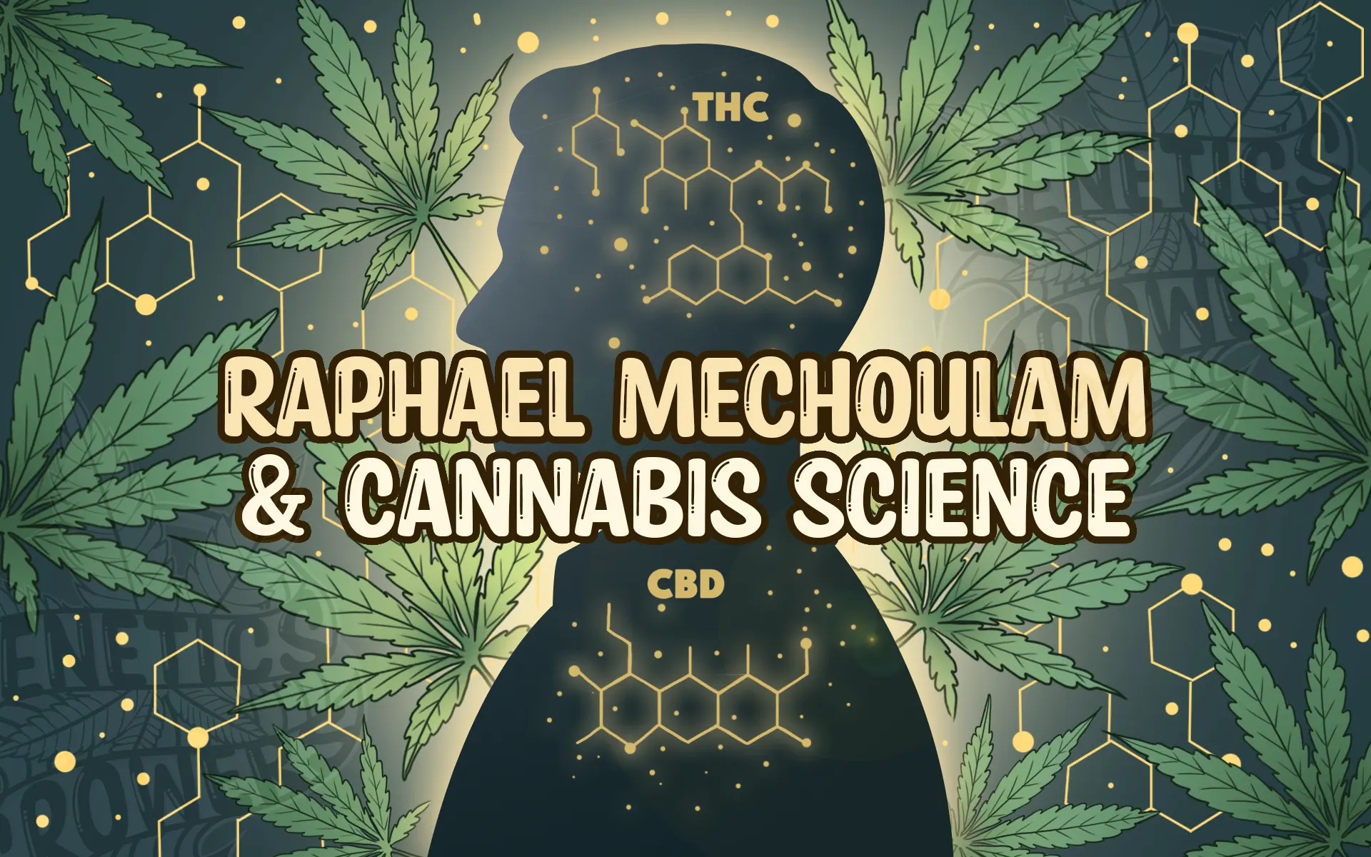 Silhouette illustration of a scientist with glowing THC and CBD molecular structures inside the head, surrounded by cannabis leaves, representing the legacy of Raphael Mechoulam in cannabis research.