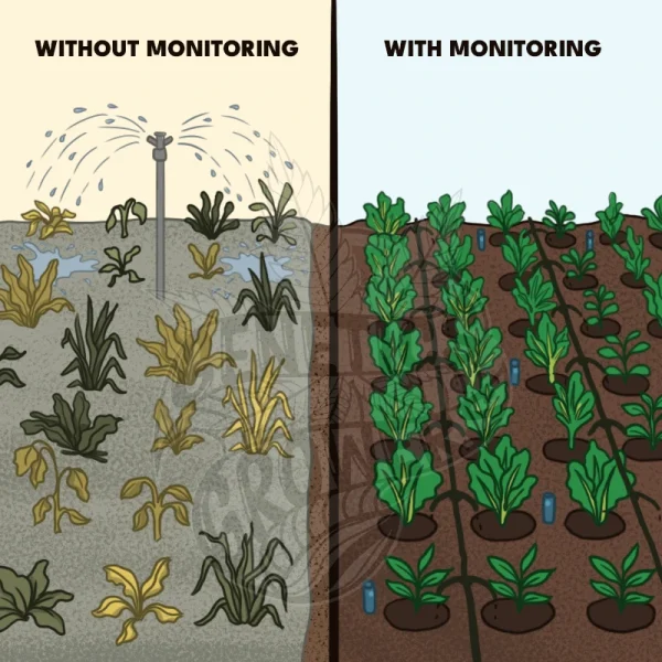 Side by side comparison illustration showing a garden without monitoring with uneven yellowing plants and wasteful sprinkler irrigation, versus a garden with monitoring showing uniform healthy green crops with precise drip irrigation and soil sensors.