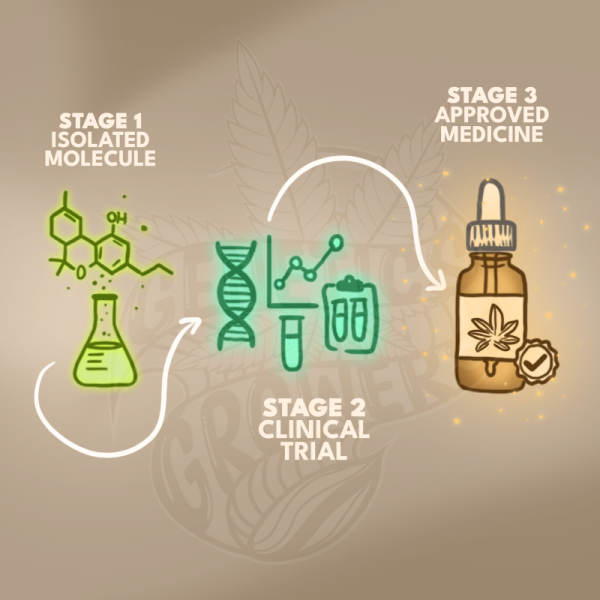 Three-stage timeline illustration showing the journey of cannabinoid research from isolated molecule to clinical trial to approved medicine, represented by a flask, DNA and lab icons, and a dropper bottle