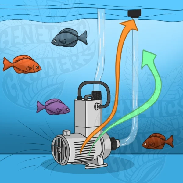 Circulation and Water Flow