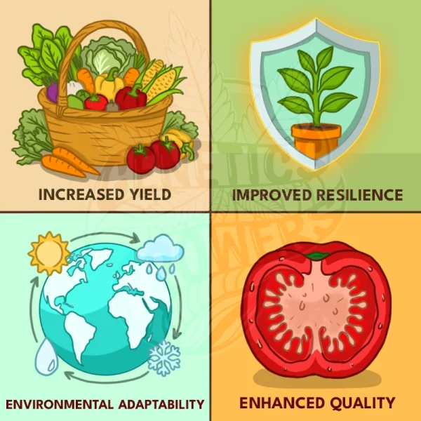 Four-quadrant infographic showing a basket of fresh vegetables, a shielded potted plant, a globe with weather icons, and a cross-section of a tomato, representing increased yield, improved resilience, environmental adaptability, and enhanced quality