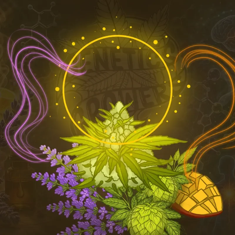 Medicinal Uses of Terpenes A Promising Frontier