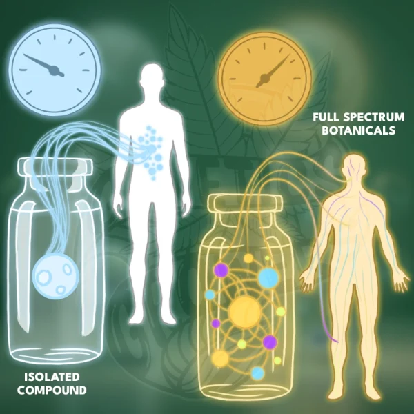 Comparison illustration of an isolated compound bottle with a single sphere versus a full-spectrum bottle with multiple connected molecules, each linked to a human silhouette with an effectiveness meter